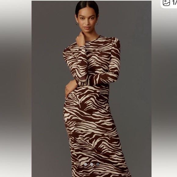 Reformation Dresses & Skirts - NWT Reformation Tommie Maxi Dress in Stampede Zebra Print Medium